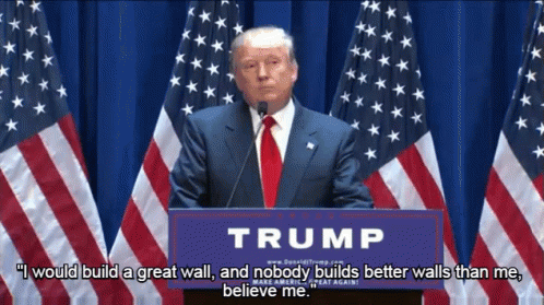 Build The Wall Donald Trump Speech GIF