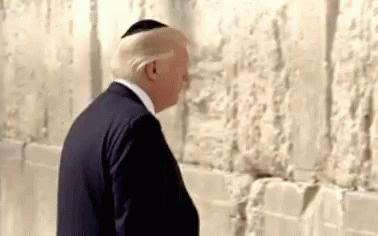 Build The Wall Donald Trump Touching Wall GIF