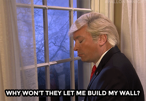 Build The Wall Jimmy Fallon Trump Spoof GIF