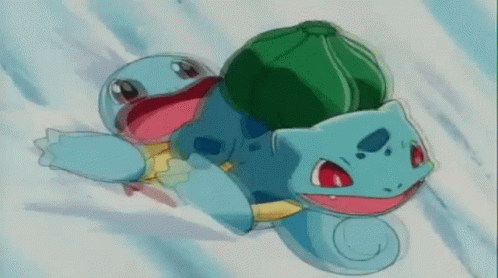 Bulbasaur And Squirtle Snow Sliding GIF