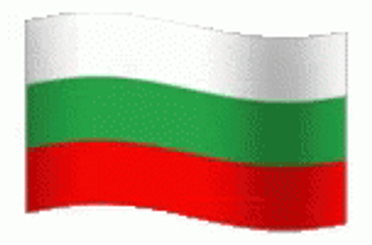 Bulgaria Flag White Background GIF