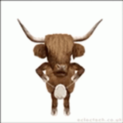 Bull Funny Dance GIF