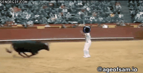 Bull Chased by Person @ageofsam.io