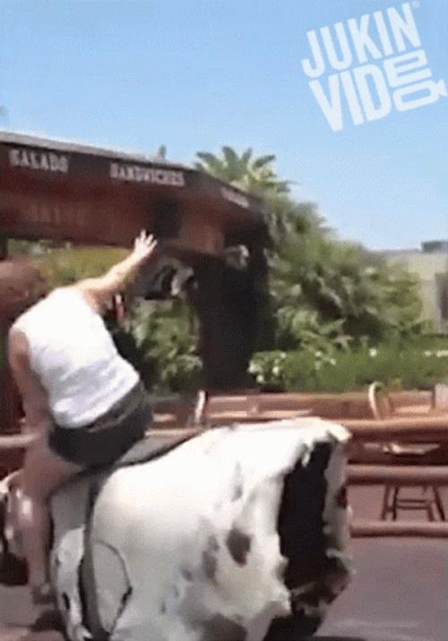 Bull Riding Fail GIF