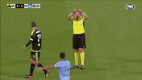 Bull With Var Check GIF
