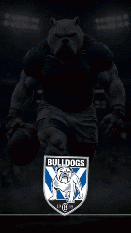 Bulldog Holding Football With Word Bulldogs