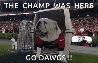 Bulldog In Red And Black Jersey Jumping Out Of Cage GIF