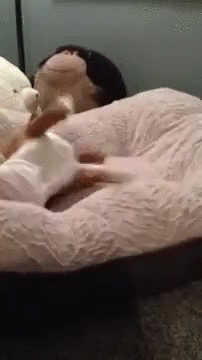 Bulldog Puppy Playing In Bed GIF