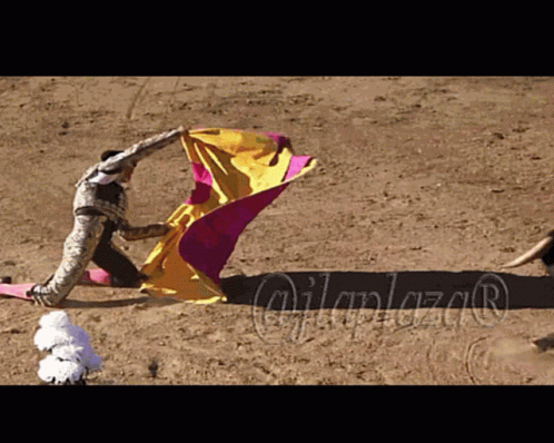 Bullfighting Torero GIF