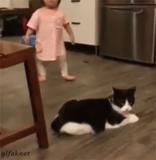 Bully Cat Trip Little Girl GIF
