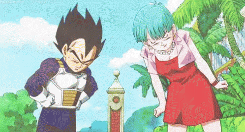 Bulma And Vegeta Arguing GIF