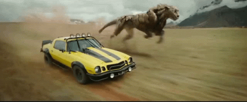 Bumblebee And The Beast GIF