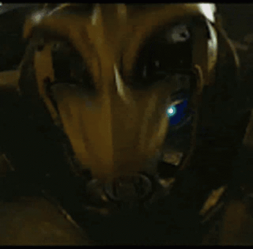 Bumblebee Face Protection Transform GIF