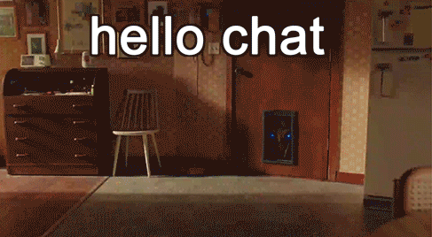 Bumblebee Hello Chat Door Crash GIF