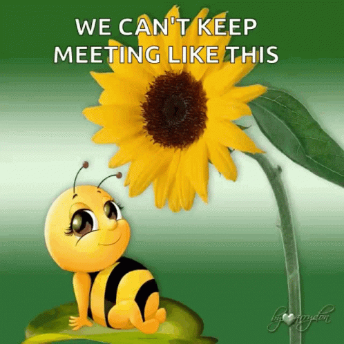 Bumblebee Let's Keep Meeting Like This GIF