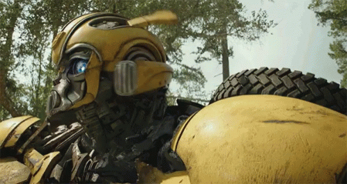 Bumblebee Ready To Attack GIF