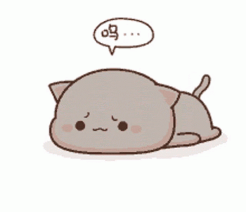 Bummed Goma Gray Cat GIF