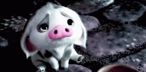 Bummed Moana Pua With Droopy Ears GIF