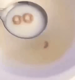 Bummer Cereal Soup Image GIF