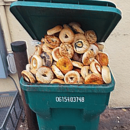 Bunch Of Bagel Got Wasted GIF