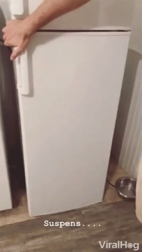 Bunch Of Dog Staying Cool Inside Refrigerator GIF