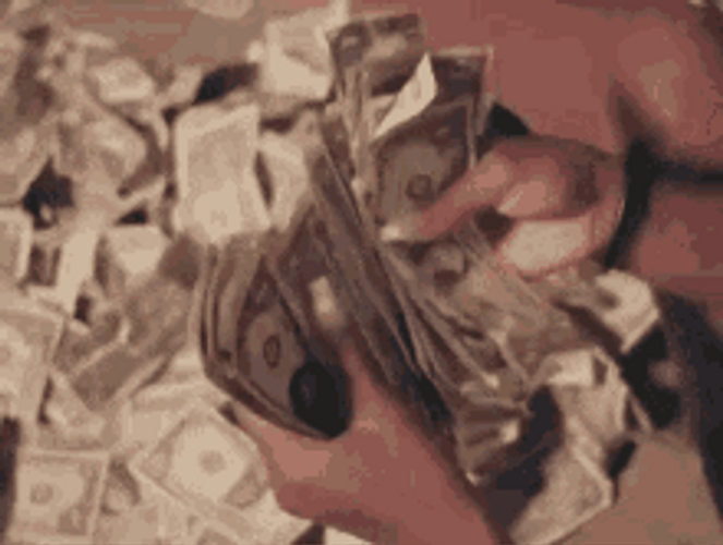 Bunch Of Money Money Money Counting GIF