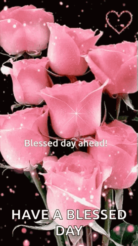 Bunch of Pink Roses Blessed Day Ahead