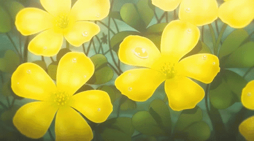 Bunch of Yellow Flowers on Green Background