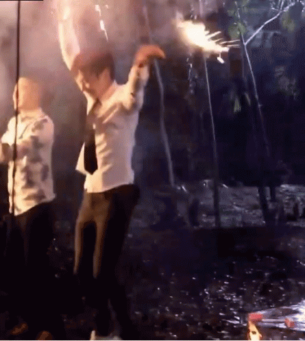 Bungaapi Guli Fireworks Meme GIF