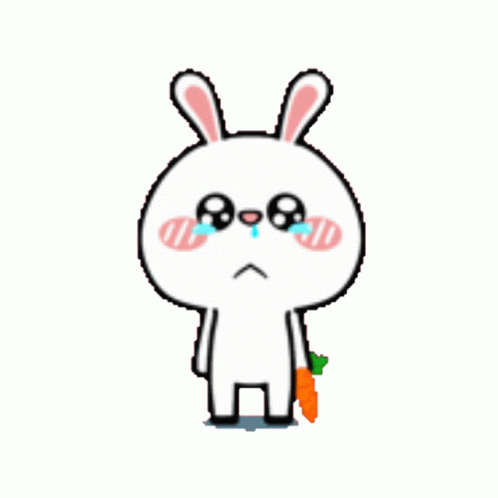 Bunny Dancing With Tears GIF