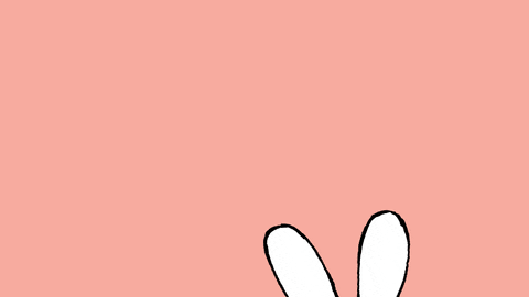 Bunny Giving Gift Happy Valentine's Day GIF