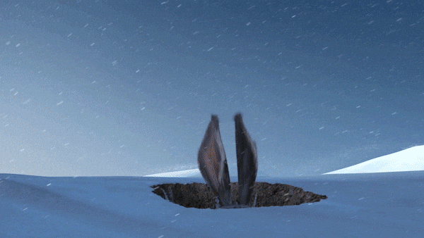 Bunny Hopping Rise Of The Guardians GIF