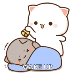 Bunny Putting Head on Another Bunny Babe Wake Up