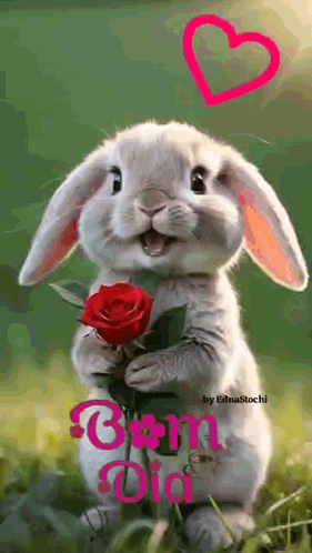 Bunny Rabbit Holding Red Rose