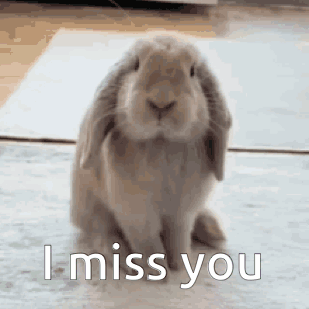 Bunny Rabbit Saying I Miss You