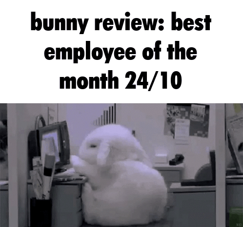 Bunny Saying Bunny Review Best Employee of the Month 24/10