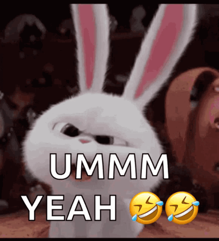 Bunny Saying Ummm Yeah GIF