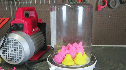Bunny Vacuum Peeps GIF