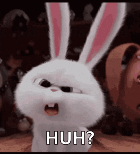 Bunny Wth Gif GIF