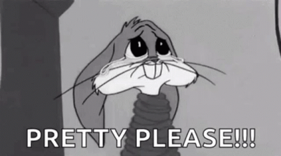 Bunny Yes Pretty Please GIF