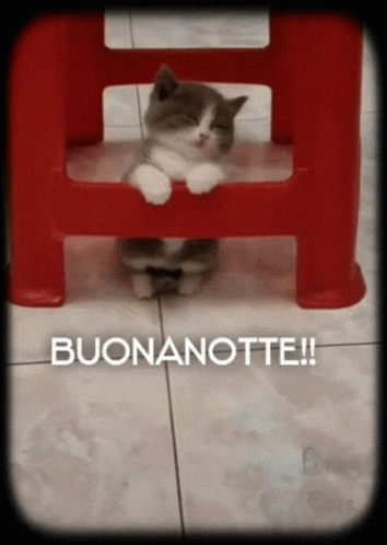 Buonanotte Sleepy Cat GIF