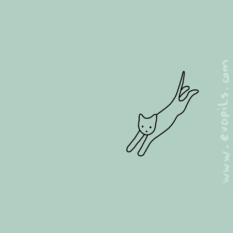 Buonanotte Sleepy Cat GIF