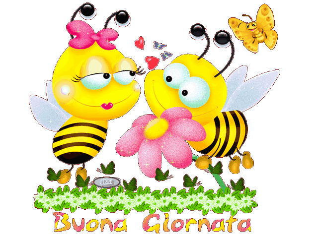 Buongiorno Bee Couple Funart GIF