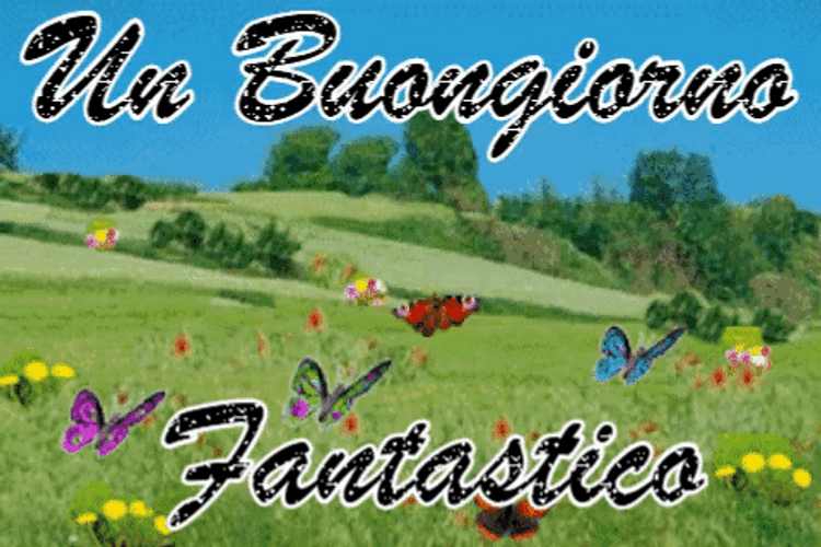 Buongiorno Flying Butterflies On Field Design GIF