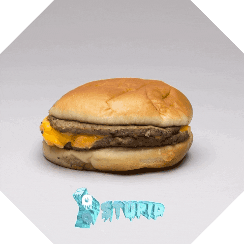 Burger Made From Frozen Beef Thats Cold GIF