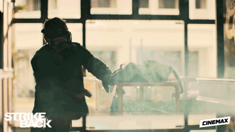 Burglar Stealing And Smashing GIF