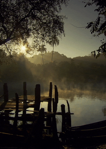 Burma Aesthetic Landscape River GIF