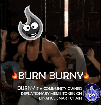 Burn Burny Is A Community Owned Meme Token On The Binance Smart Chain GIF
