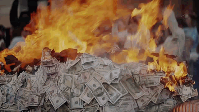 Burning Money Rapper Protest Dollars GIF