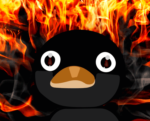 Burning Noot Noot Meme GIF